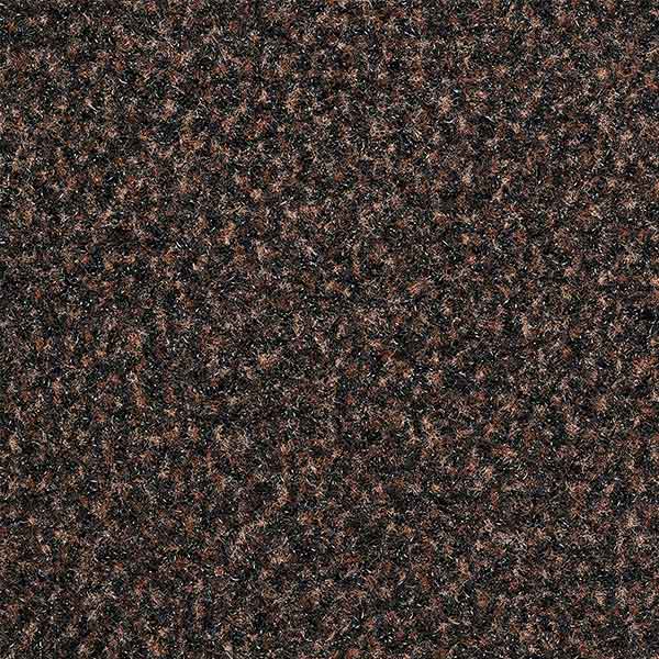 Traffic Bruin Traffic Bruin