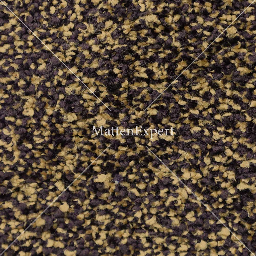 Majestic-Mustart Majestic Mostert